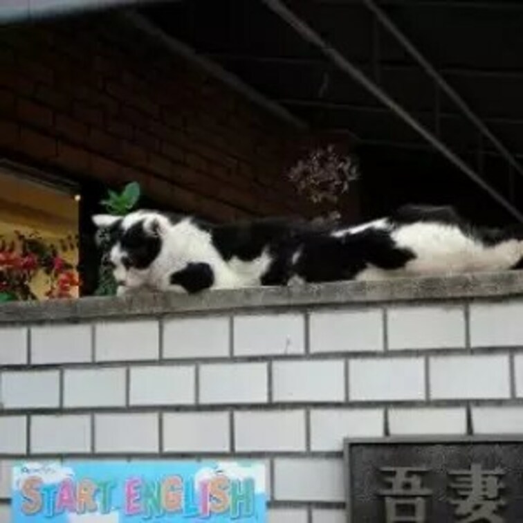 長い