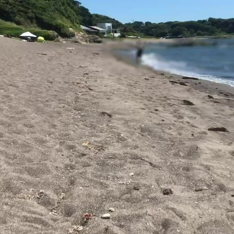 今年、2度目の海で大胆な夏夜-25-

夏夜と遊びたい方は、ぜひコメント下さい。
もしくはX (Twitter）の