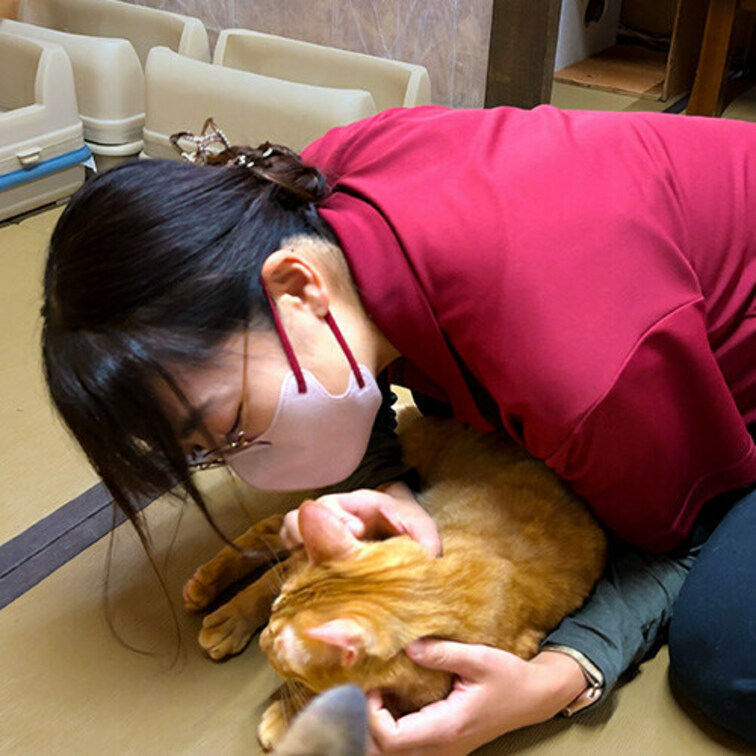 別府　新玉旅館

弱アル炭酸水素塩泉のしっとり笹濁り極上湯を源泉掛け流し。

温泉だけでも素晴らしいのに保護猫に