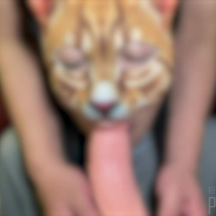 この人妻、久しぶりに喉奥責めたら全然入らなくなってやがる。
また、短小ちんぽの旦那サイズに戻ってやがる。
再○○○開