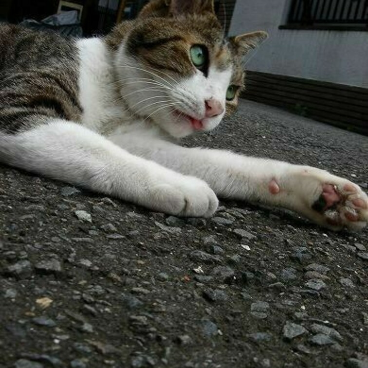 大宮八幡宮