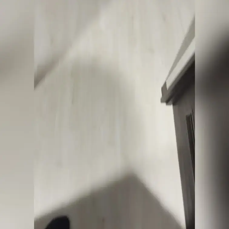 半隠し撮り