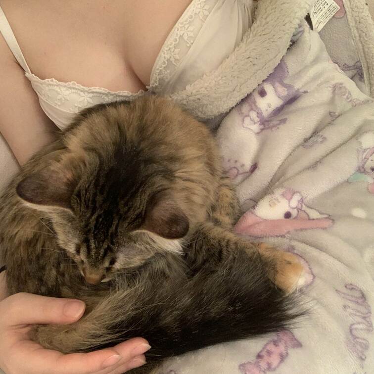 今日のおっぱいとぬこฅ( ˙꒳​˙ ฅ)
