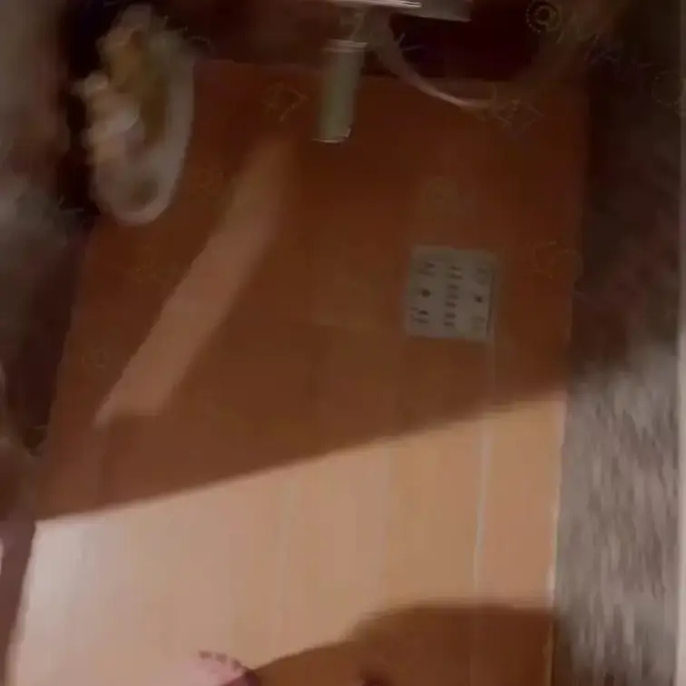 ♡僕のひみつ♡

それは・・・
いつもトイレは使わずあえてお風呂でおしっこしてる(⸝⸝ᐡ. ̫ .ᐡ⸝⸝)
ホテ