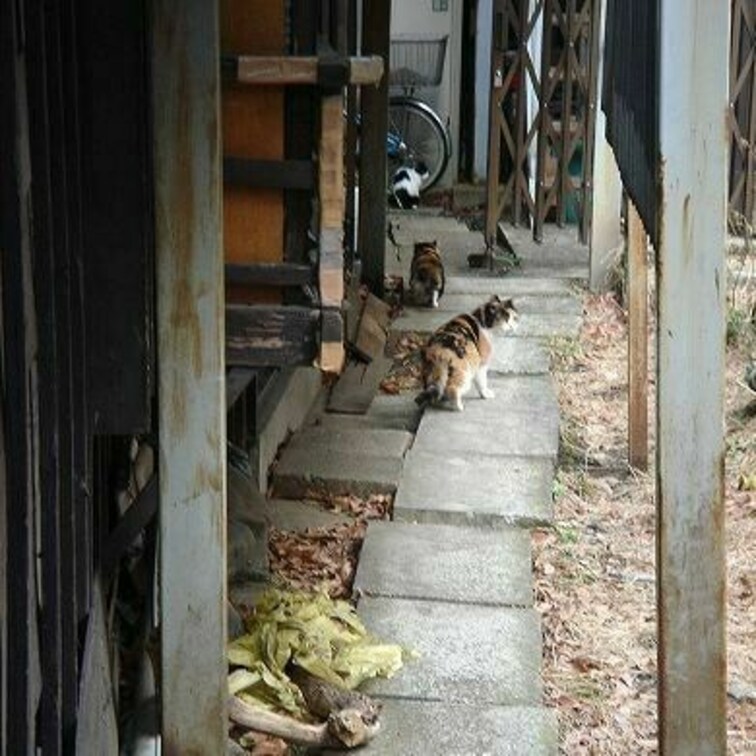 方南町の隠れ家
