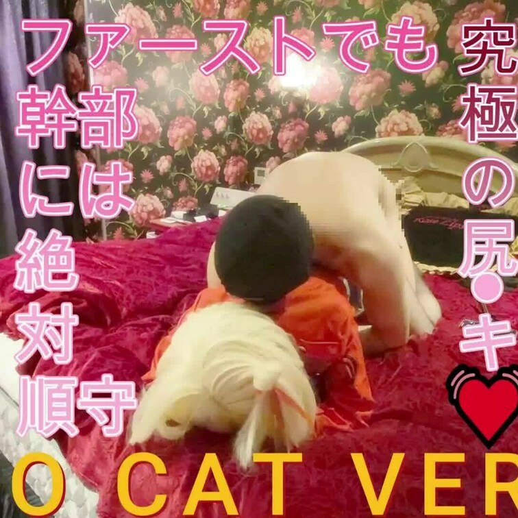 ミニかめこ怖い( ﾉД`)ｼｸｼｸ…