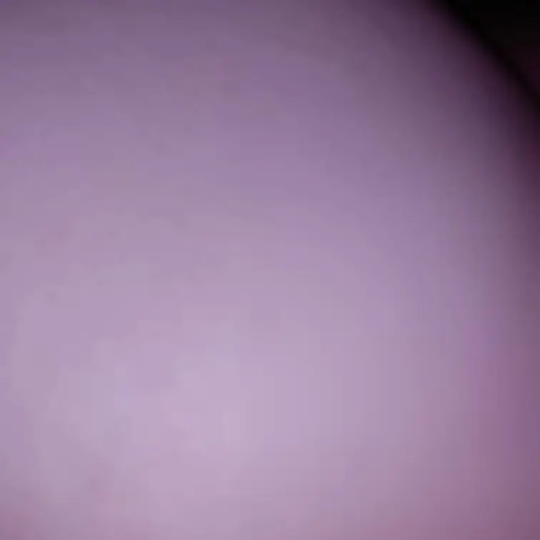 後ろから😳