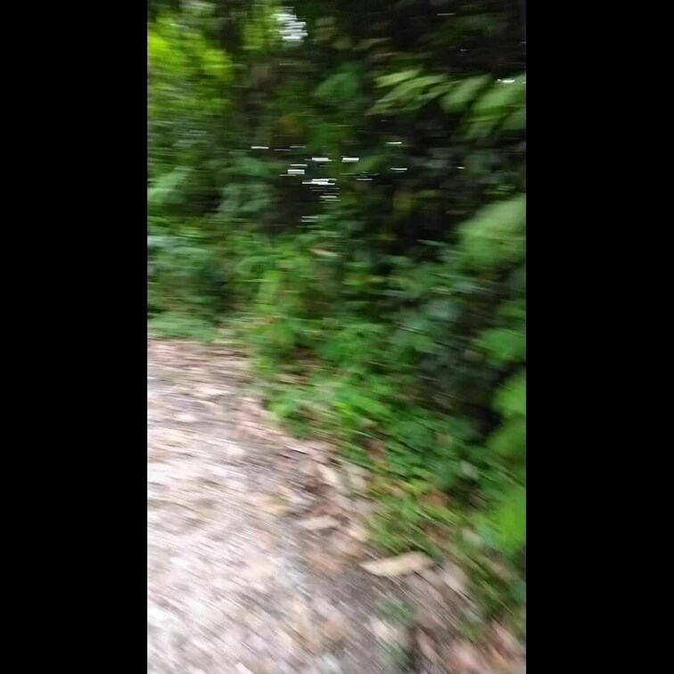 林の中を全裸でお散歩(⋈◍＞◡＜◍)。✧♡　