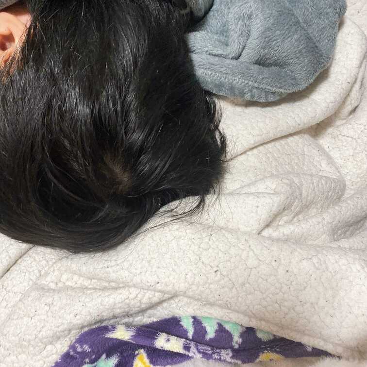 お膝で寝ておられます。
今日はいたさないのかも。
