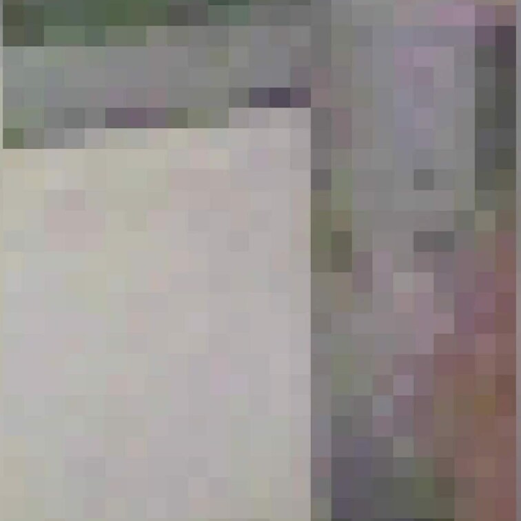 妻のセルフタイマー自撮りですが、部屋の雰囲気がわかりすぎて嫌だという妻のひとことでボツ。ほぼ全画面モザイクでここに掲載し