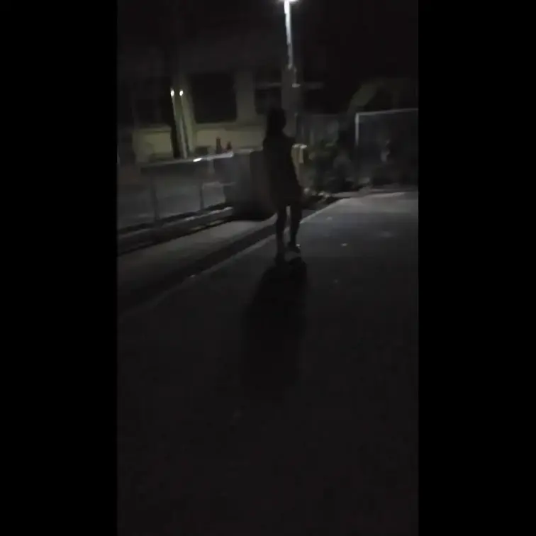 夜の道を全裸で徘徊(^^♪
よく人が通る道なのでいつ誰か来るかわからない中ドキドキした最後にはご褒美をもらってイっちゃ