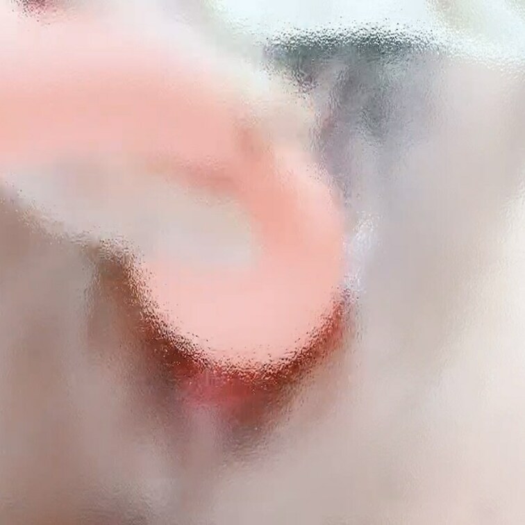 この前最中に少しだけ撮った😚