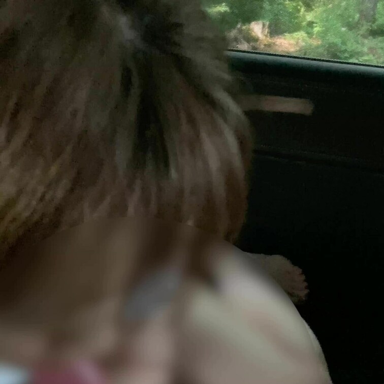 車内ふぇら妻💕