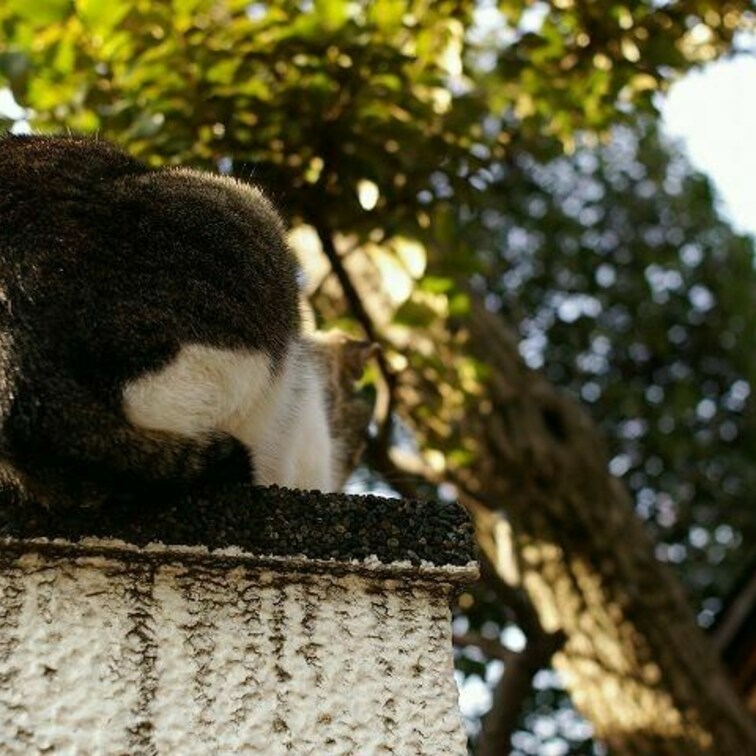 後ろ姿