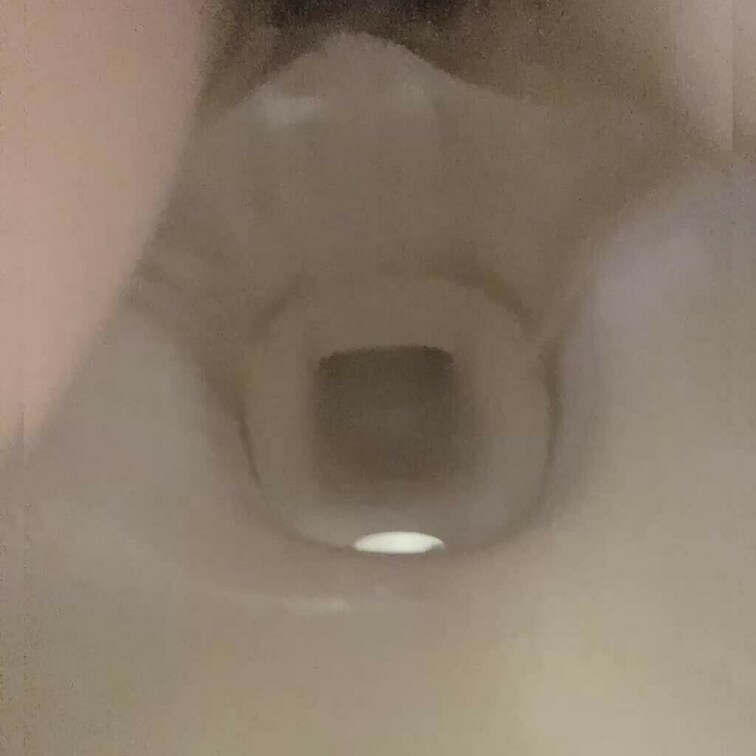 ꒰ঌ^ᴗ.ᴗ^໒꒱🤍