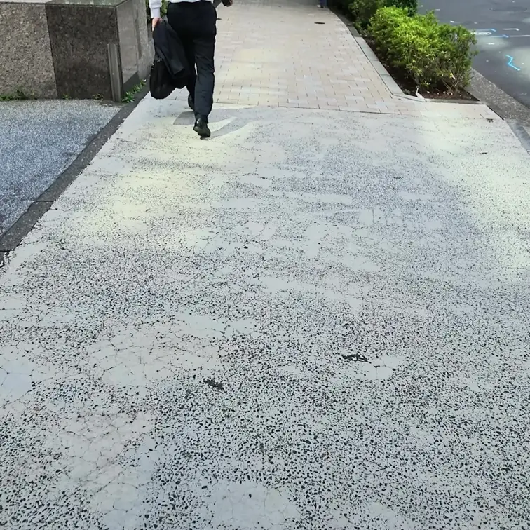 蘭々 動画
