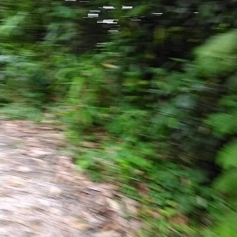 少し暖かくなったので裸で山の中をドキドキしながらお散歩♪