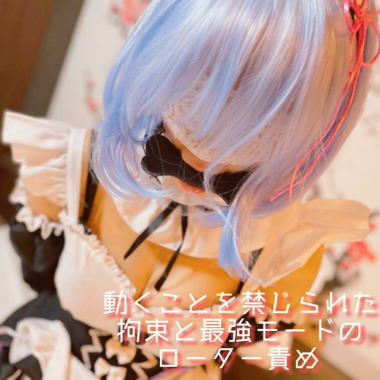 ご支援いただいた
「イヌ用の骨型猿轡」をくわえさえ、
○○○束と股縄をしローターを装着。
そして膝立ち姿勢で
ロ