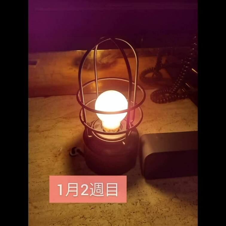 1月1週目