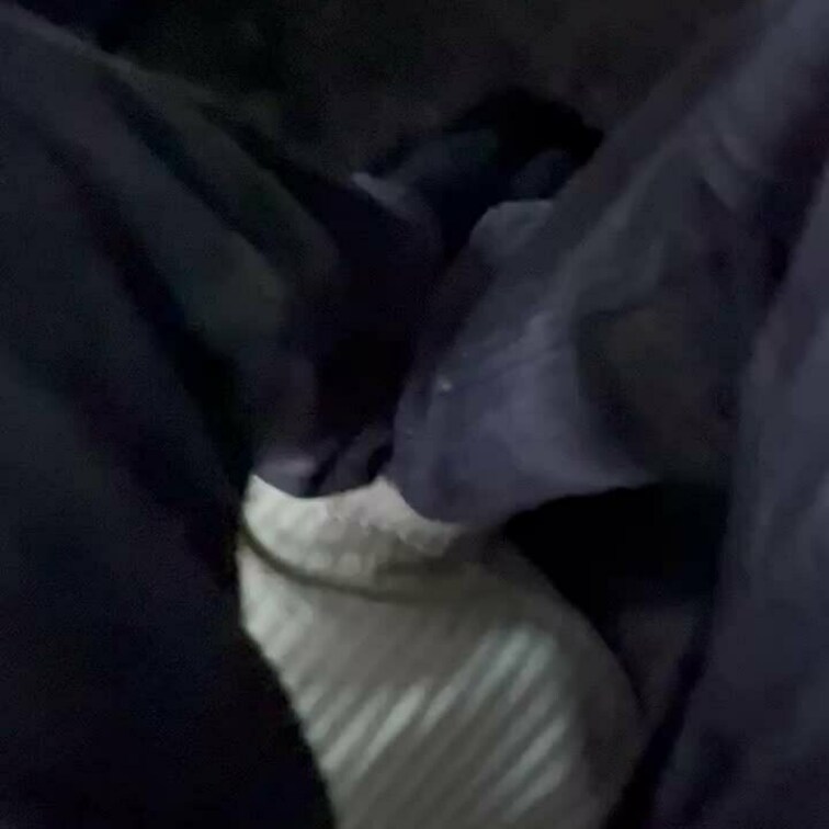 足の匂い嗅がせながら遊んであげてる👣