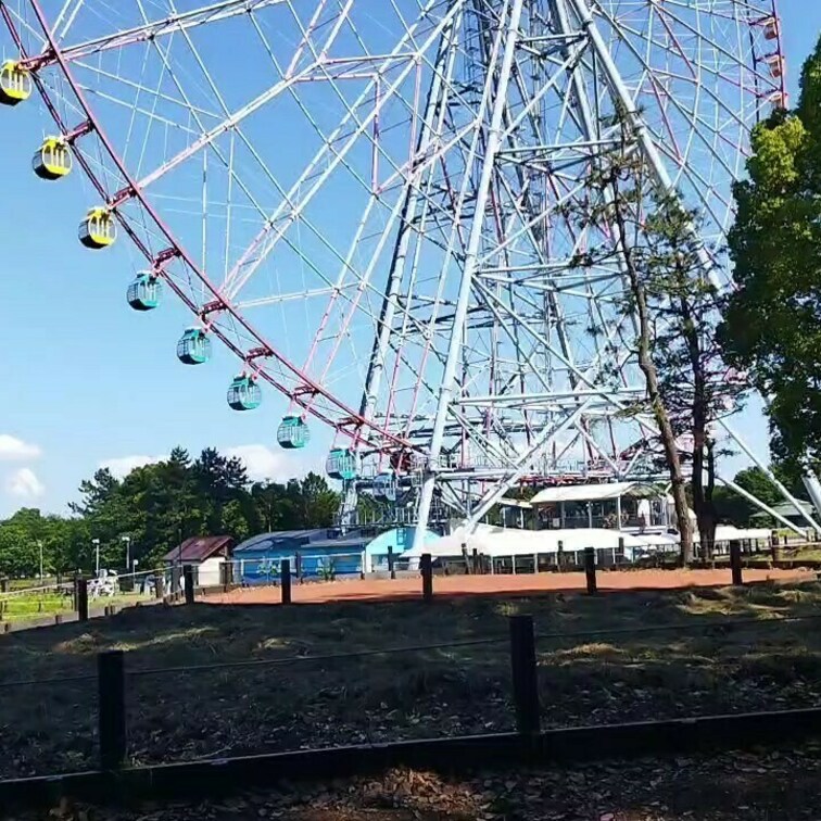 我慢できずに野外で
フェラするOL
