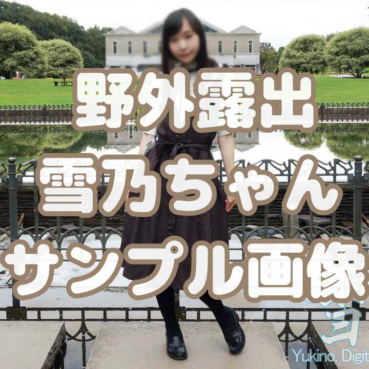 
サンプル画像❣️

雪乃の野外露出では
毎月30枚以上の画像を公開中📷´-

野外露出を中心に
学生時代