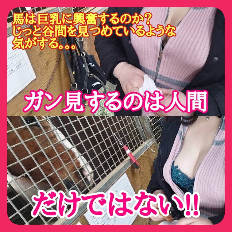 ♥️露出♥️
露出中にガン見してくれない人間より
馬の方がガン見してくれるかな？
ということで見せ付けました！
