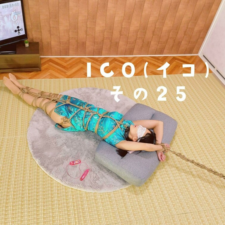 【だんだん露わに】
ICO(イコ) その２５