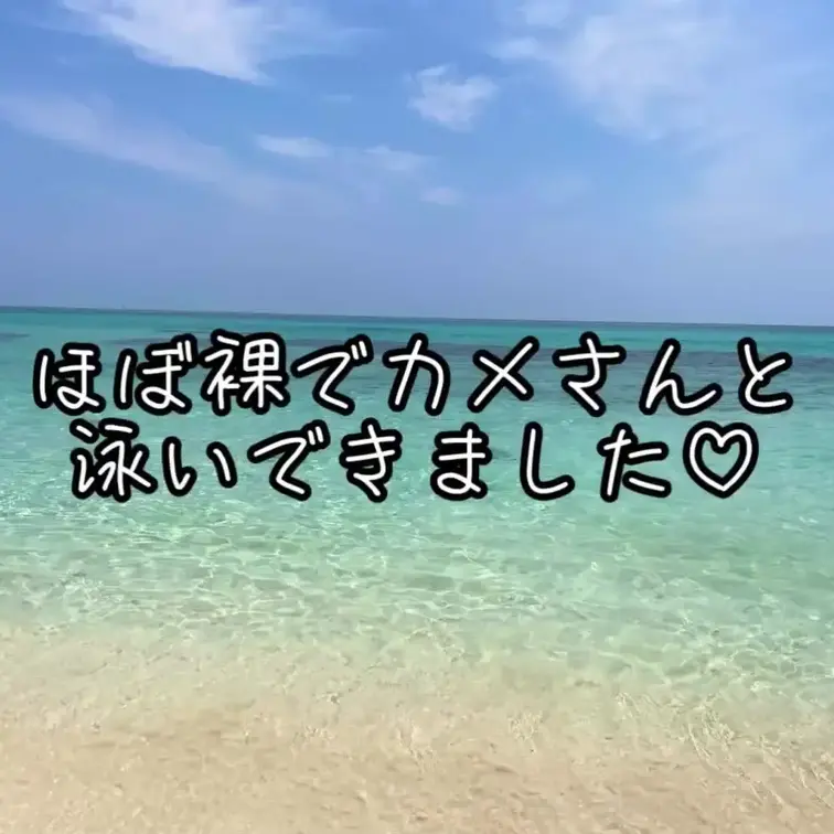 Tバック水着とニップルシールで泳いできました🫣
カメさんに夢中です。
