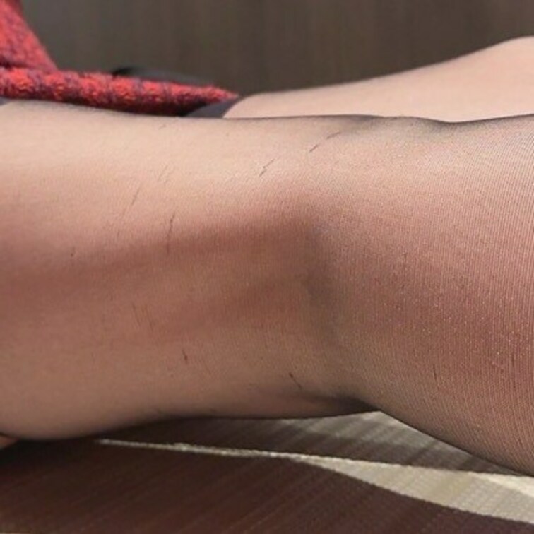 サンプル画像