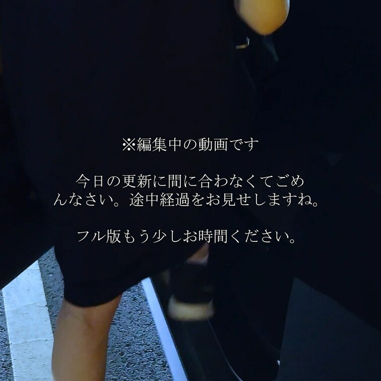 ※編集中の動画です
今日の更新に間に合わなくてごめんなさい。途中経過をお見せしますね。――めっちゃいい感じに作っている