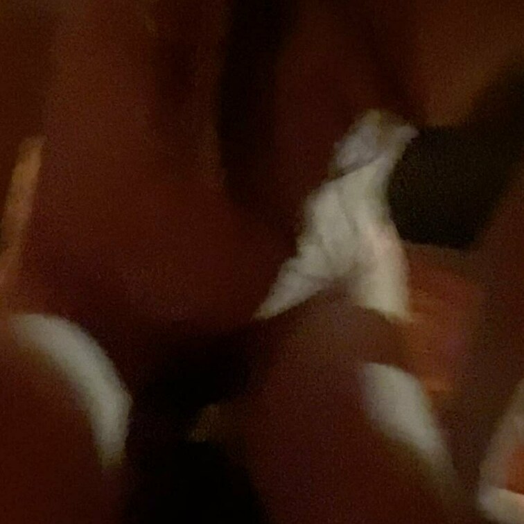 初めて入って、想像以上に良いところに来たそうです。