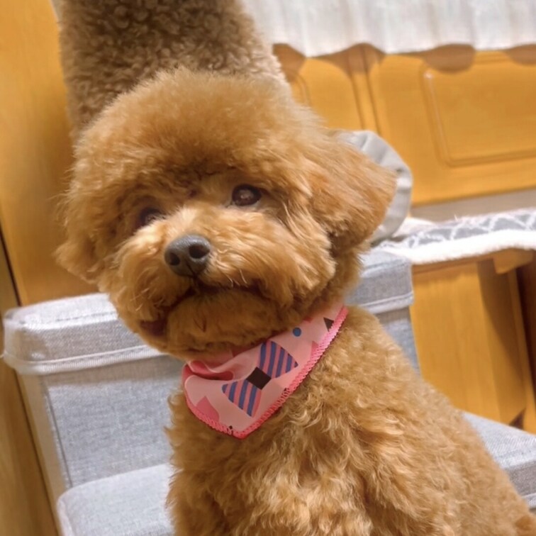 ホームビデオ的なやつです笑