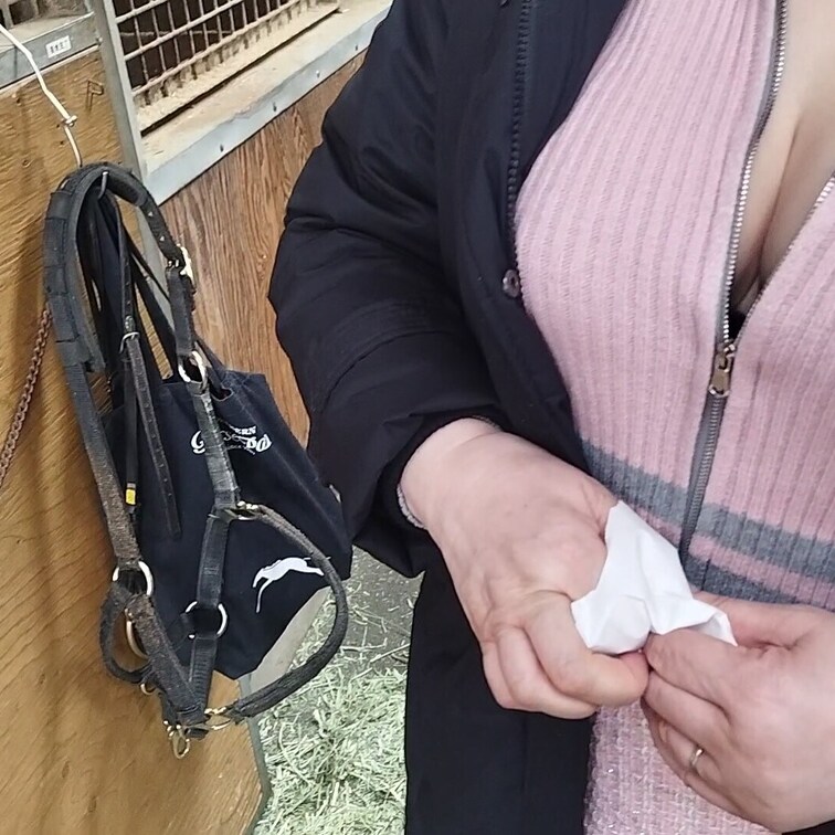 ♥️露出♥️
露出中にガン見してくれない人間より
馬の方がガン見してくれるかな？
ということで見せ付けました！