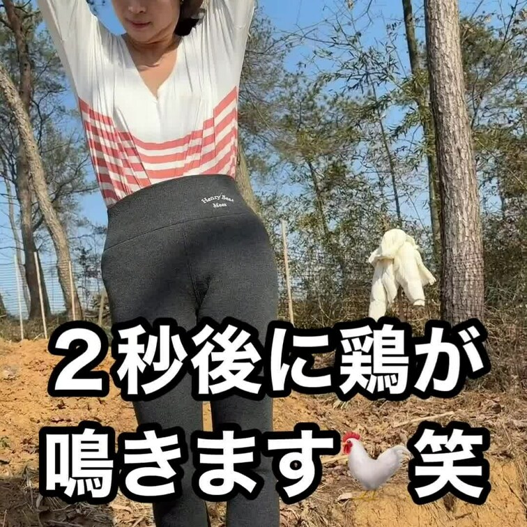 セット完了
…って思った瞬間にこれ😂🐔✨