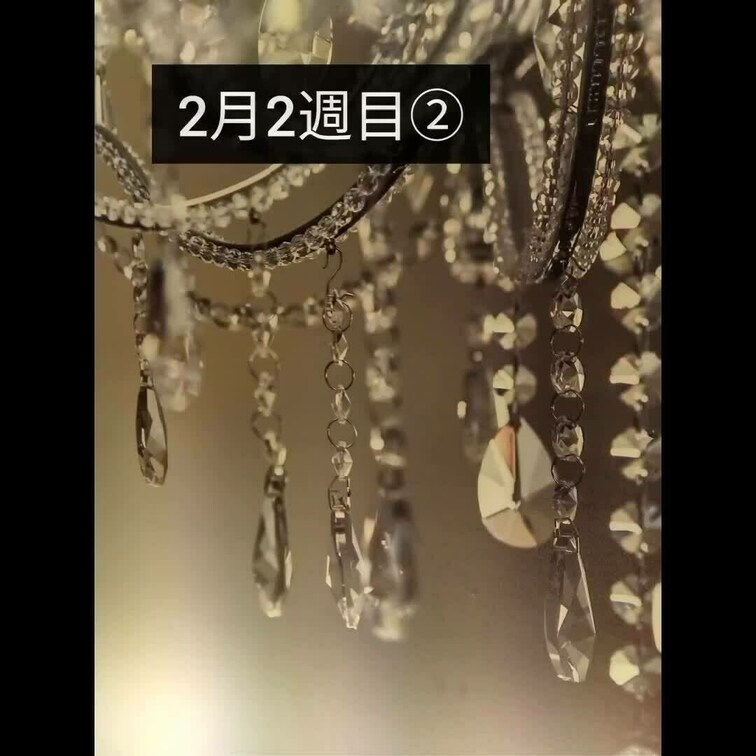 2月2週目