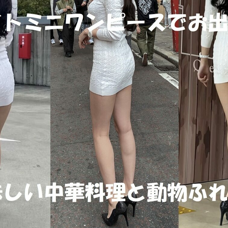 YouTubeアップしました!
https://youtu.be/Ndd4Rch1YBA
昨日無料プランの方に画像投