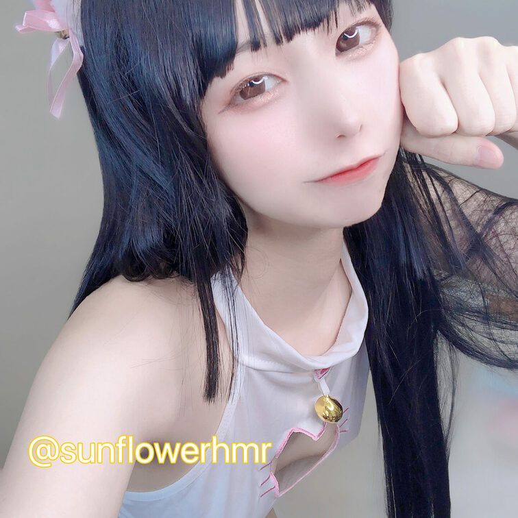 みなさまが好きなにゃんこです🐱🐱🐱