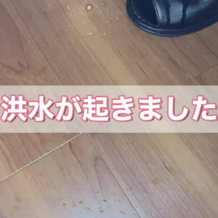 本日未明、都内某所にてホテル内にも関わらず大洪水が起きたそうです🎤（何事）

今夜は洪水にまつわる？動画です🫣♡
