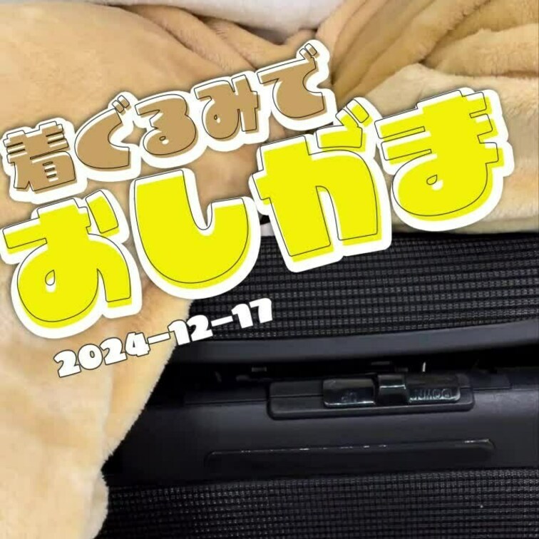 2024-12-17
▶着ぐるみ着ておしっこ我慢◀
元配信↓
https://youtube.com/live/r