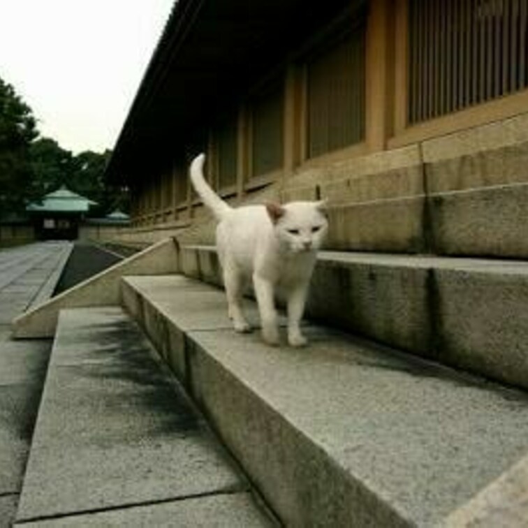 池上本門寺