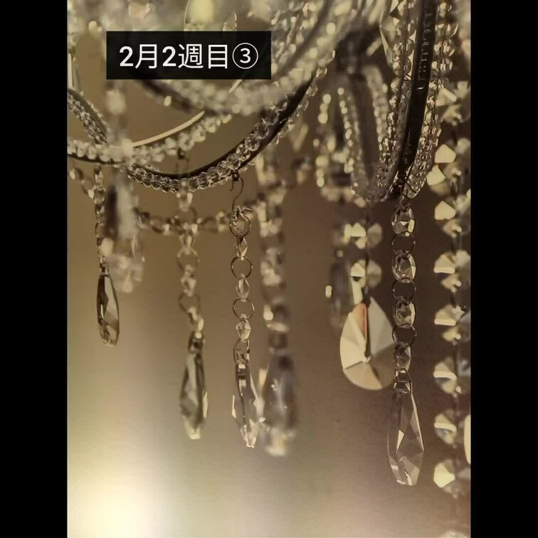2月2週③