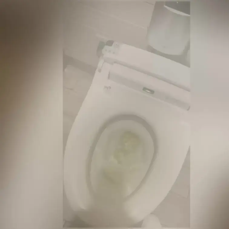 洋式トイレに座るとさ🥹
勝手に流水音が流れるので💦
音が消えてから🫢
オシッコしてました(*ﾟOﾟ*)( ´艸｀)