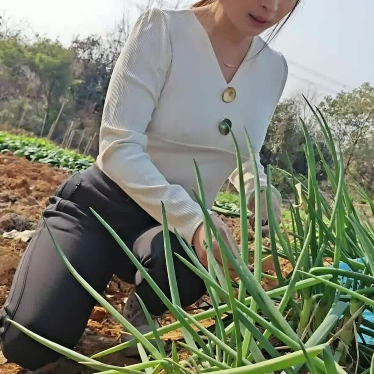 収穫の瞬間が一番のご褒美🌱✨
採れたて新鮮で今日の食卓に😊