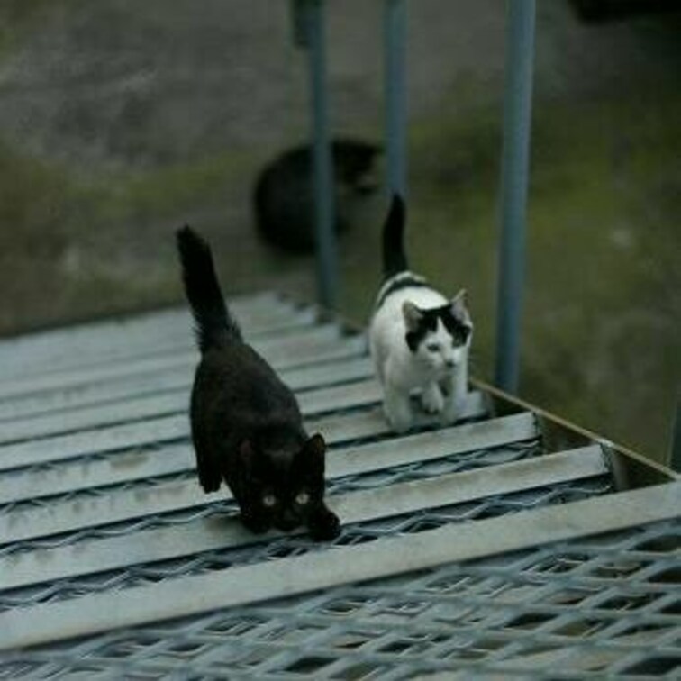 遊ぼうぜ