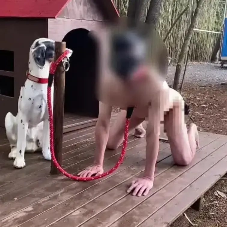 犬の快楽調教