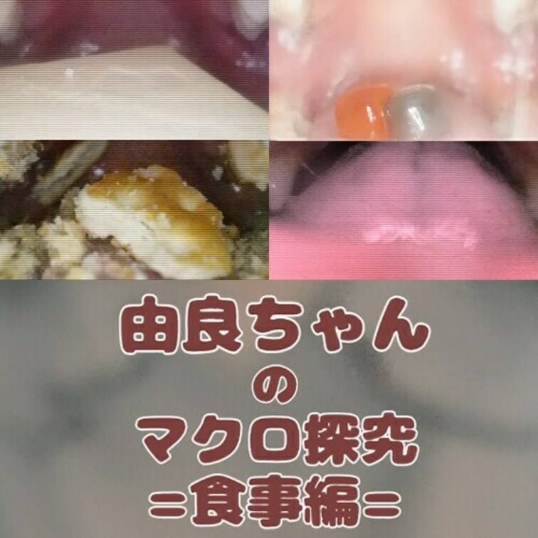 由良ちゃんのマクロ探究-食事編-🔰
🍰由良ちゃんの普段見られない食事中の口の中(舌・歯・喉・のどちんこ等)の様子をマクロカメラにて撮影、他にもスローカメラなどを使い普段見られないようなマクロな瞬間の撮影。
チョコレートやグミやお菓子など、咀嚼中のおくちの中を内視鏡のように隅々まで探究しちゃいました!
※内容は全て主観や接写によるものです。
収録内容
①食べ観察(ホワイトチョコ) 00:00~
②チョコレート🍫 03:05~
③グミ🦠 05:05~
④お菓子咀嚼🍪 12:10~
⑤パチパチ🎇 15:30~
➅息吹きかけ 18:50~
⑦唾洗浄 19:40~
研修撮影中🔰のものなので 500円割引中です。 (1/2)