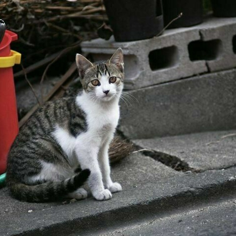 これも場所を思い出せず