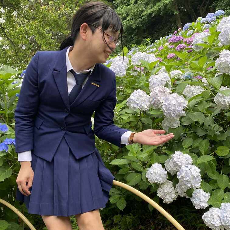 2023.6 紫陽花寺3