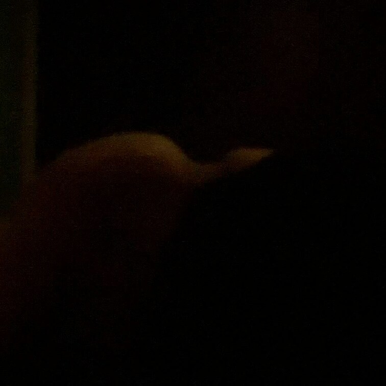 30代夫婦のセックス○○○風です📹
ぽっちゃり巨乳の妻を寝取られ希望です😍